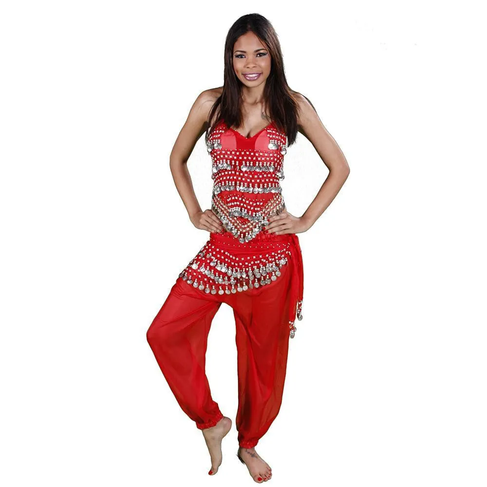 Belly Dance Harem Pants, Halter Top, & Hip Scarf Costume Set | THE BELLY DANCER