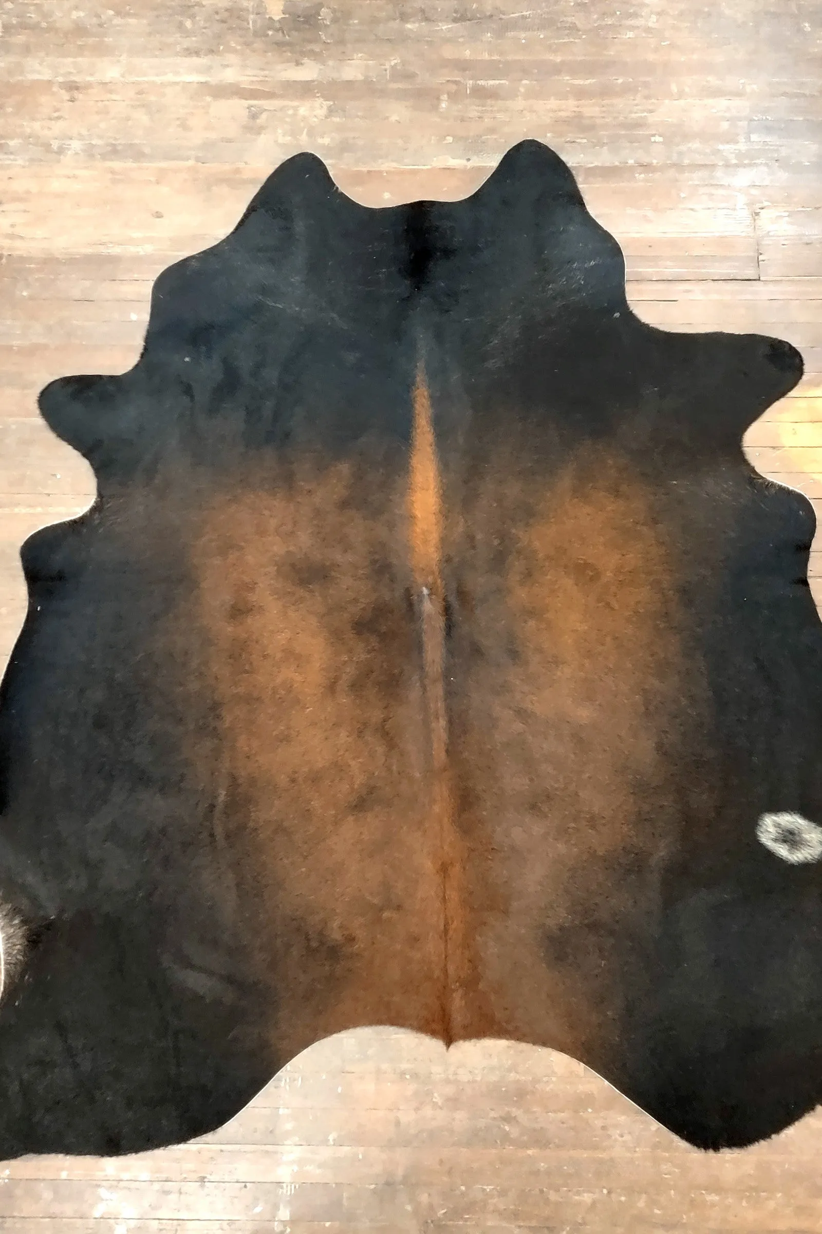 Black & Reddish Brown Cowhide Rug #2948