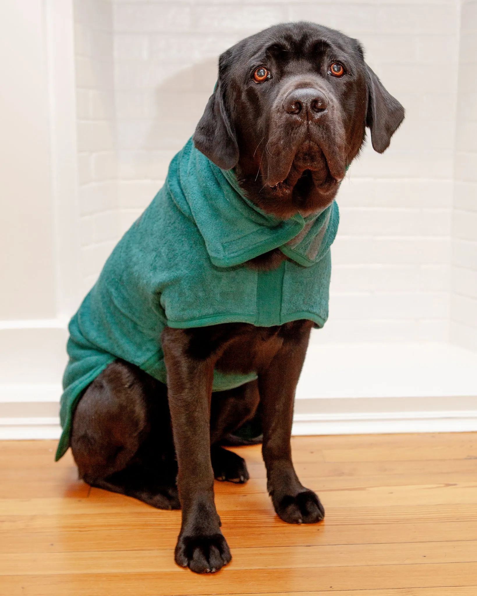 Dog Drying Coat in Bottle Green (Made in the UK) (CLEARANCE)