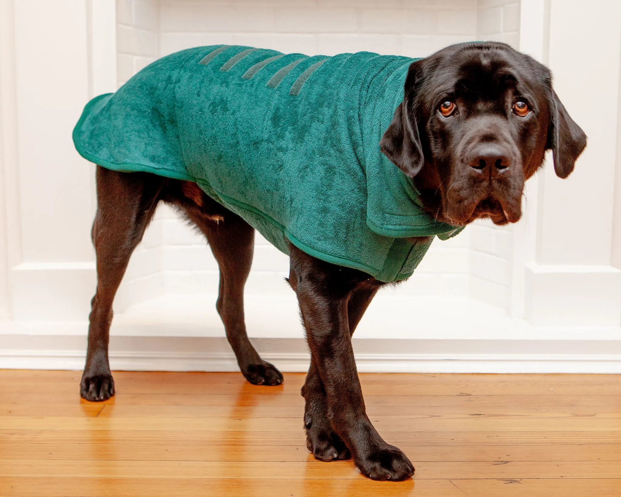 Dog Drying Coat in Bottle Green (Made in the UK) (CLEARANCE)