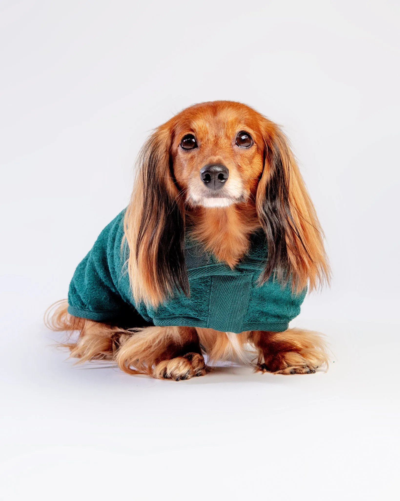 Dog Drying Coat in Bottle Green (Made in the UK) (CLEARANCE)