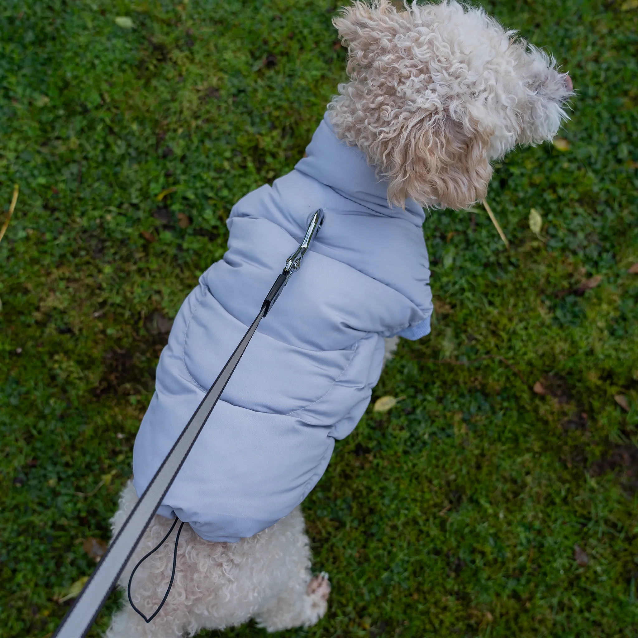 Dog Luxury Showerproof Puffer Jacket in Grey - S / M / L