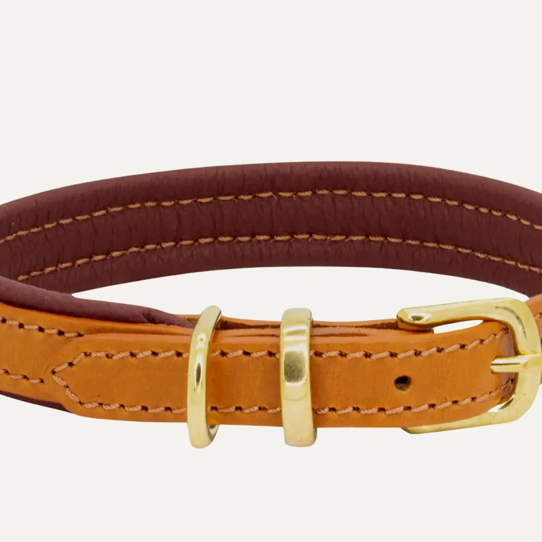 Dogs And Horses - Padded Leather Collar