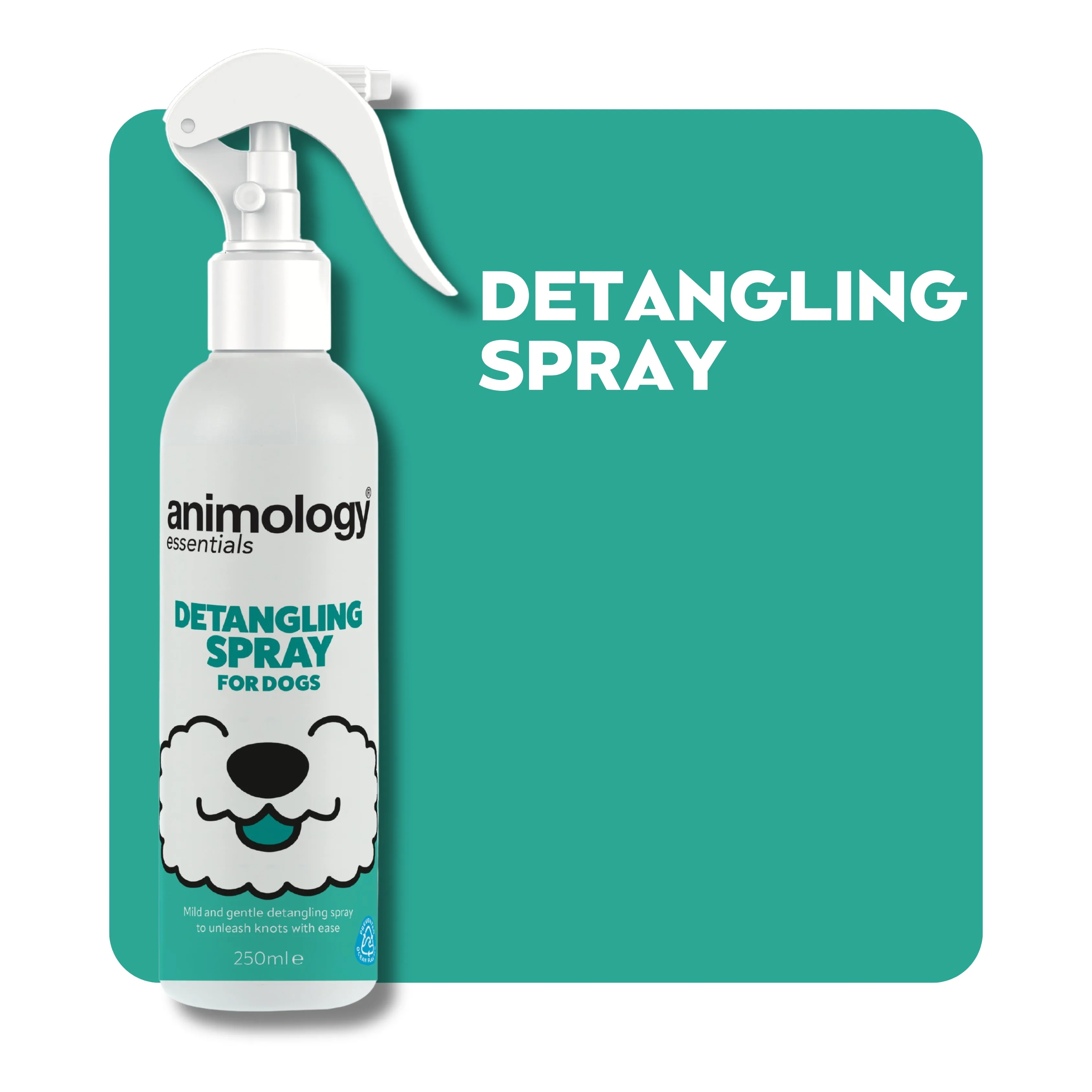 Essentials Detangling Spray 250ml