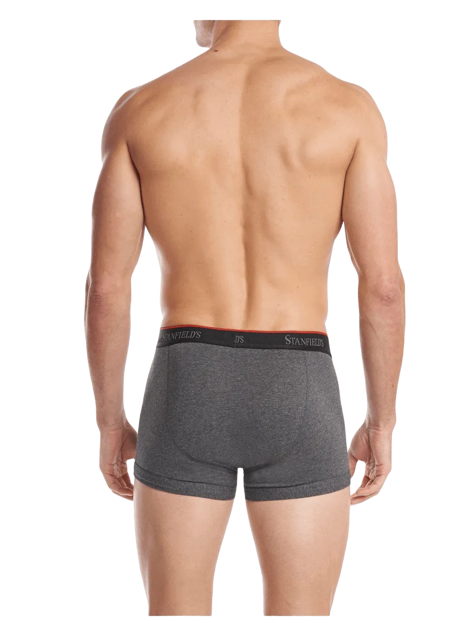 Men's Stretch Trunk - 2 Pack