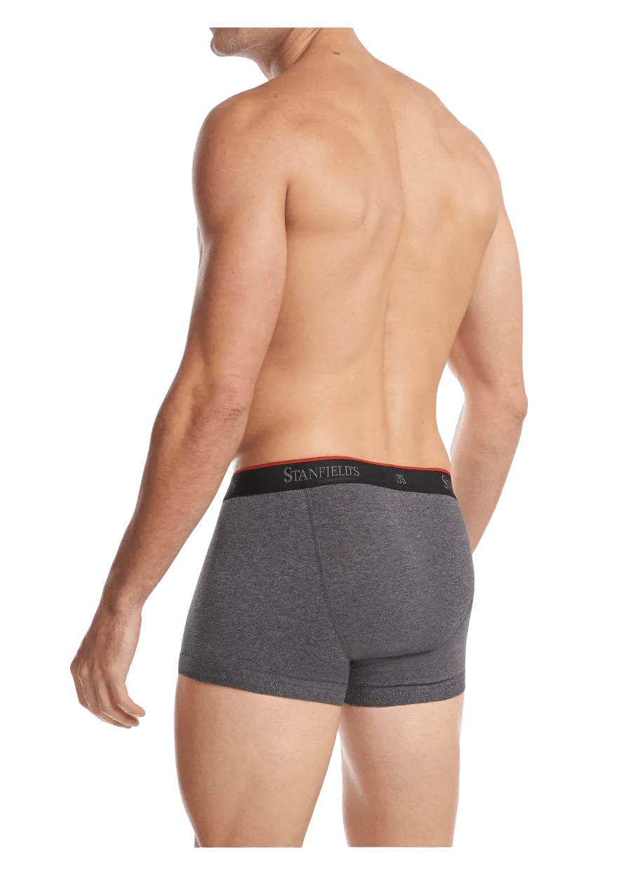 Men's Stretch Trunk - 2 Pack