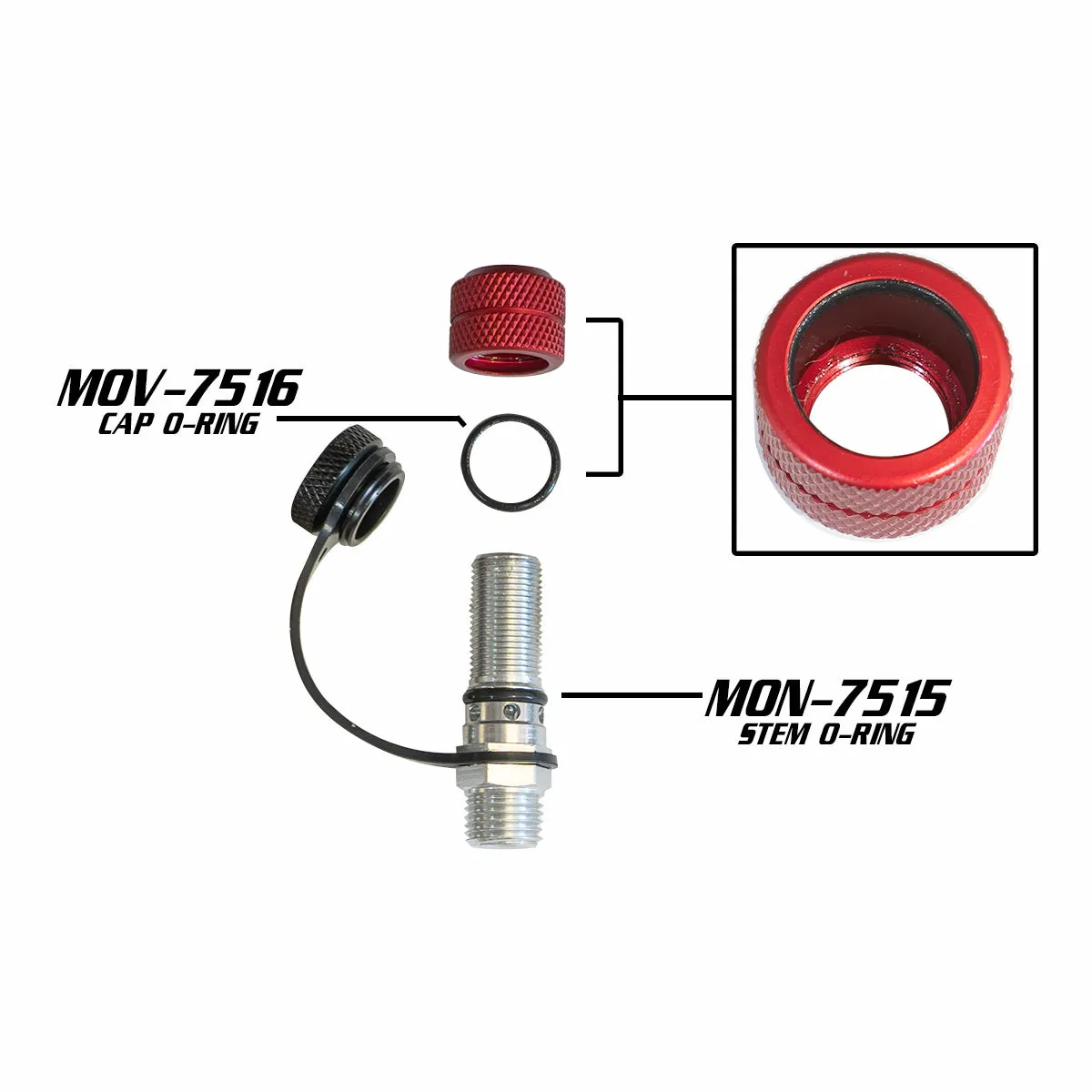 Monster Valve Rebuild Kit (x5)