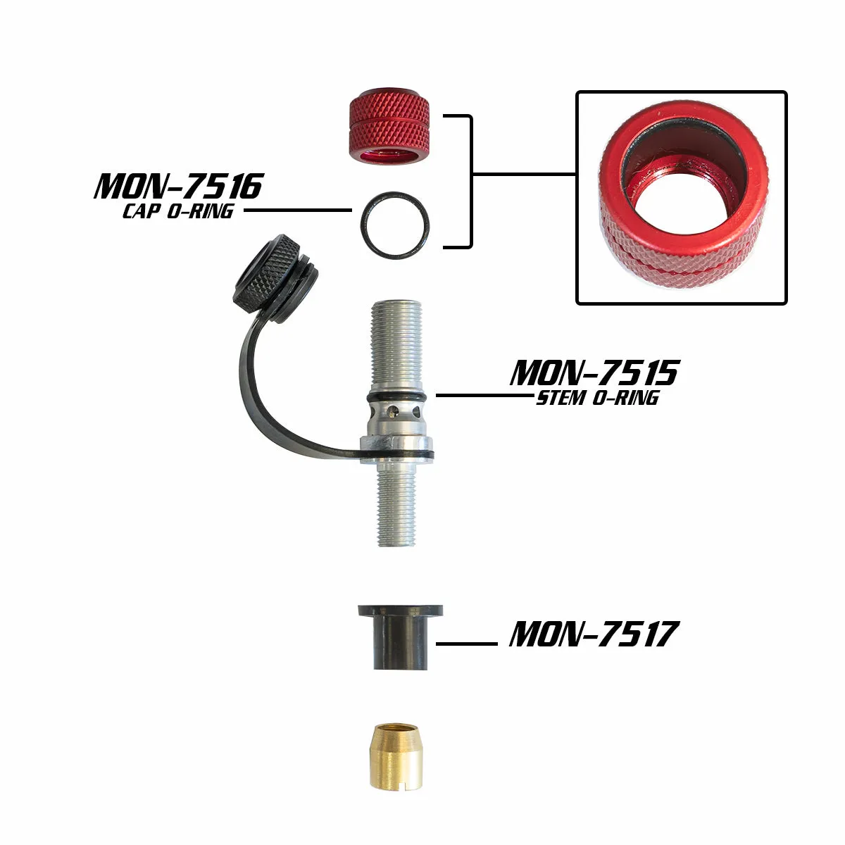 Monster Valve Rebuild Kit (x5)