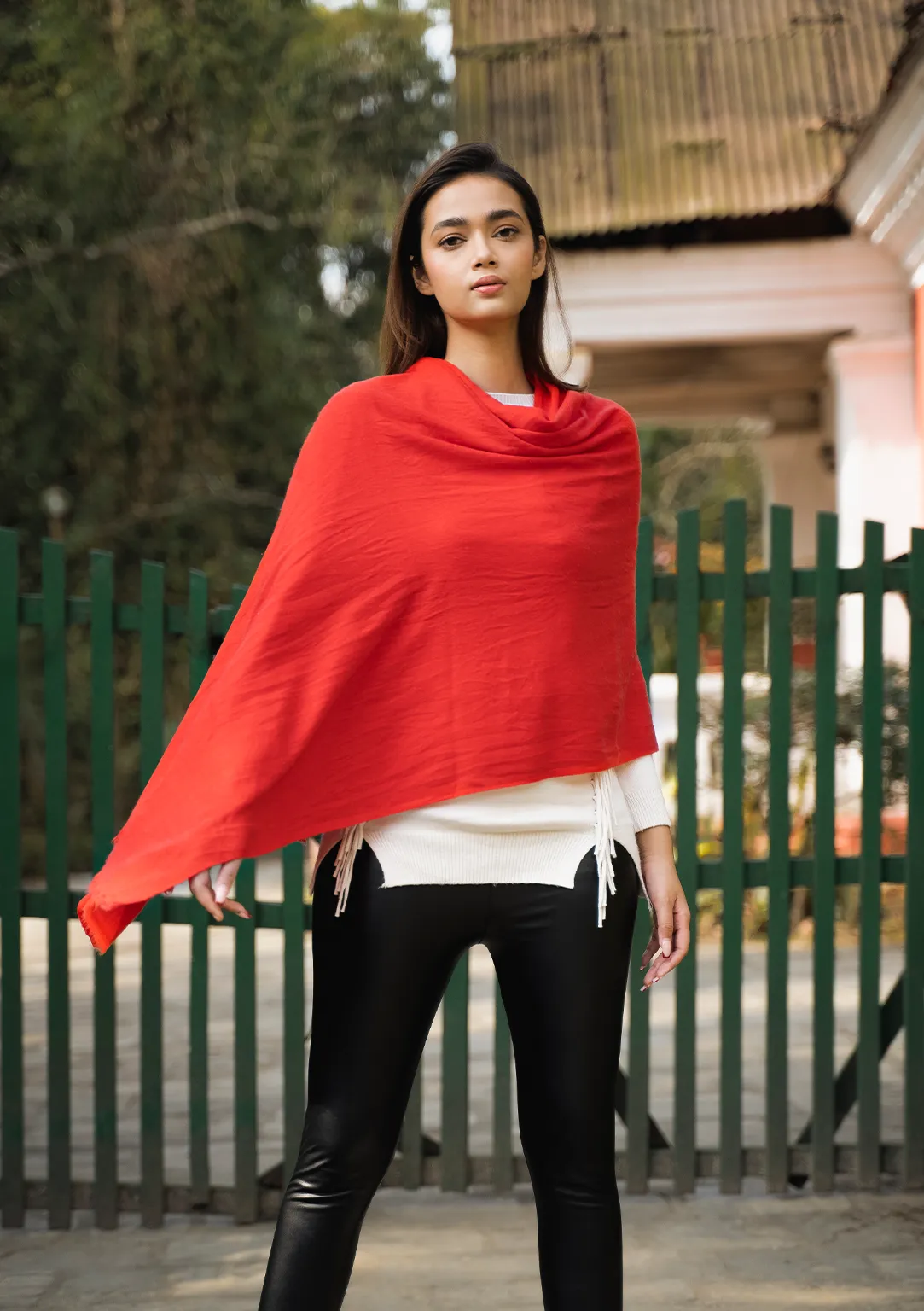 Pure Pashmina  Red Color Shawl