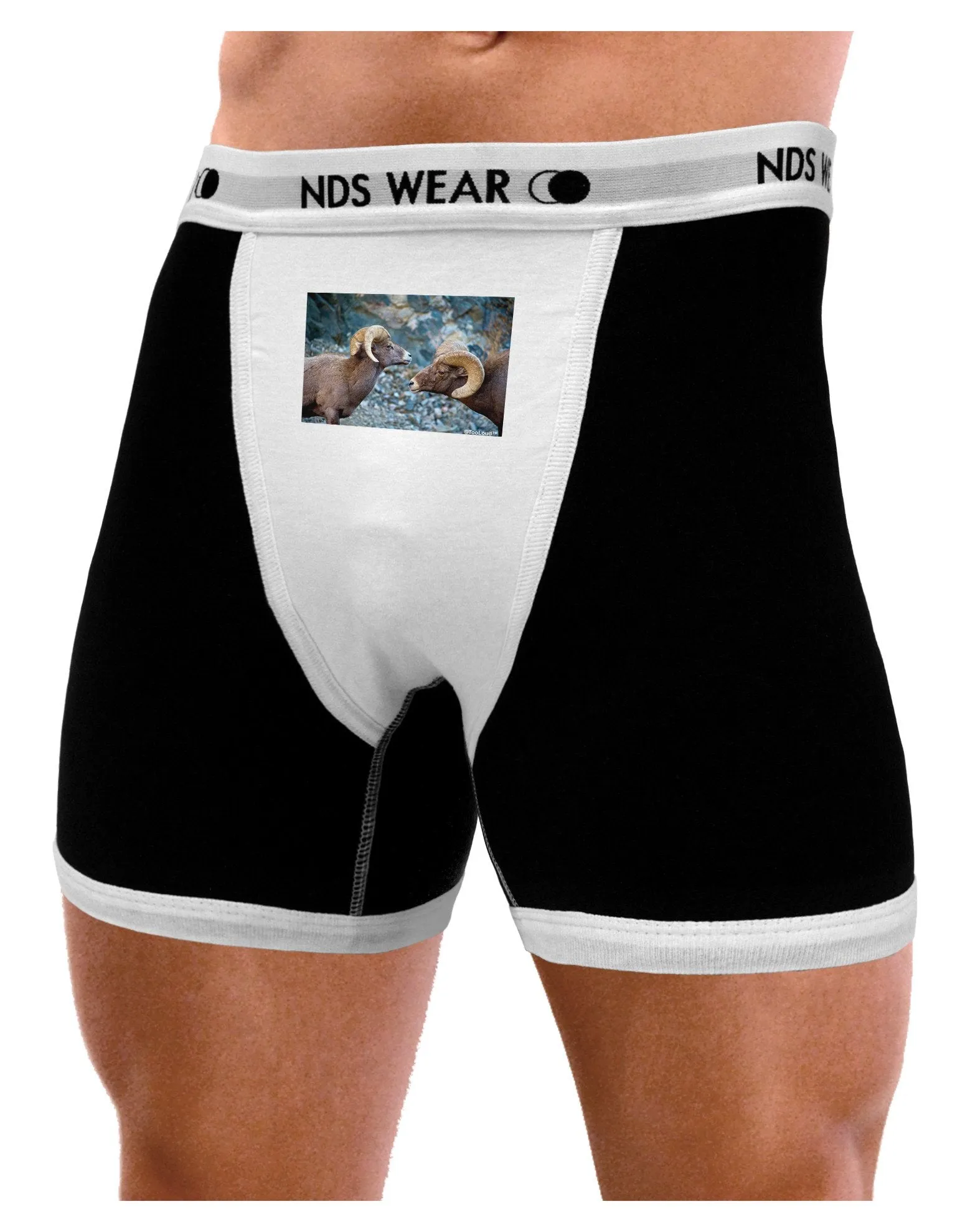 Two Bighorn Rams Mens Boxer Brief Underwear